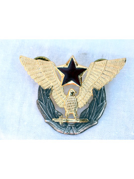 Značka orao sa zvezdom