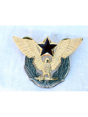 Značka orao sa zvezdom